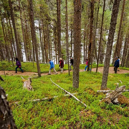 Prázdninový dům Paltto Elaemysretket