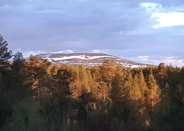 Paltto Elämysretket *