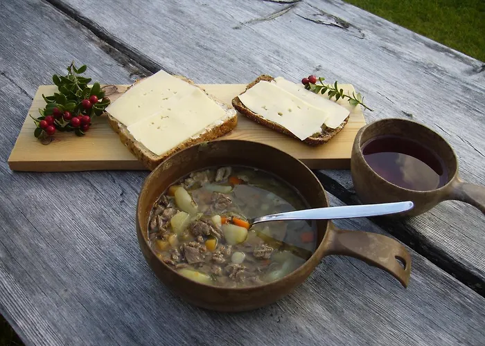 Σπίτι διακοπών Paltto Elaemysretket Lemmenjoki