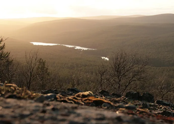 Paltto Elämysretket Loma-asunnot *