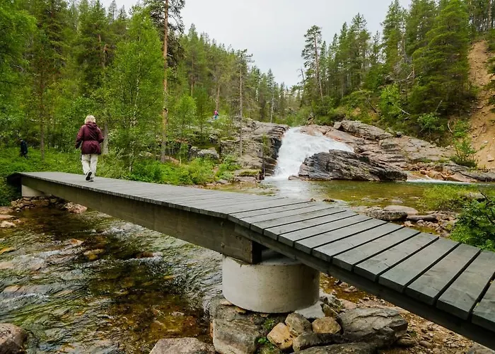 Paltto Elämysretket Loma-asunnot