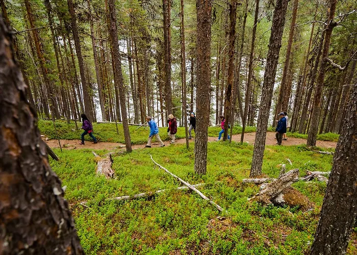 Loma-asunnot Paltto Elämysretket